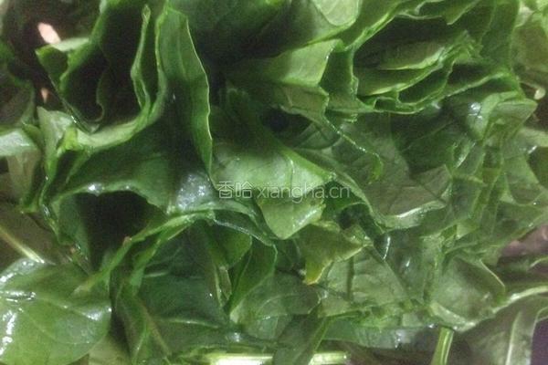 菠菜排骨粥的做法图解8