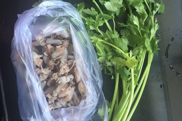 芹菜炒墨鱼的做法图解1