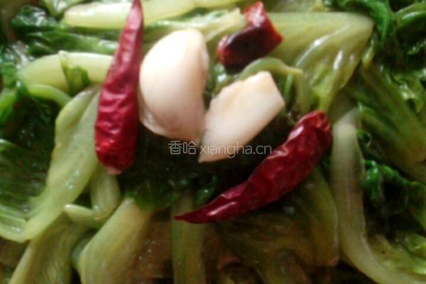 酸辣生菜的做法图解6