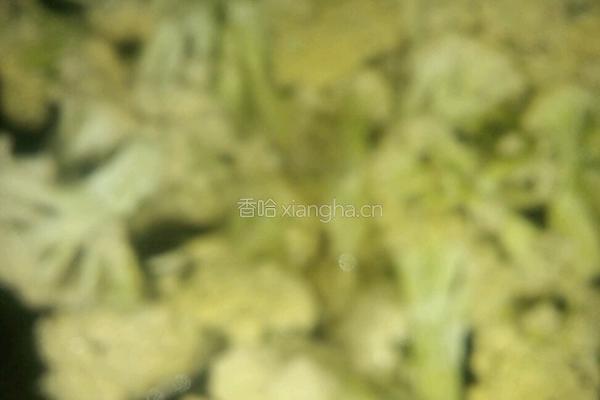 花菜炒肉片的做法图解3