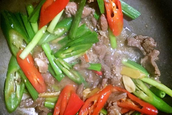 双椒羊肉的做法图解6