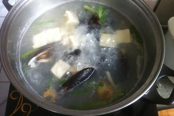 淡菜豆腐汤的做法图解6