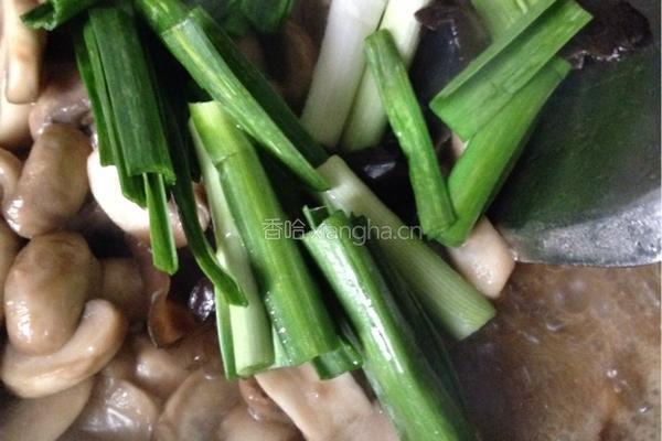 素炒口蘑的做法图解7