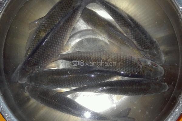 淋炸鲫鱼的做法图解1
