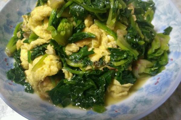鸡蛋炒菠菜的做法图解8