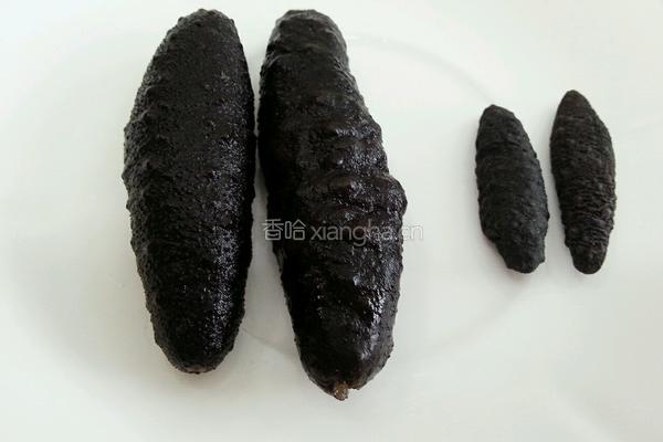 鱼胶炖海参的做法图解2