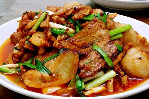 川味家常回锅肉的做法图解10