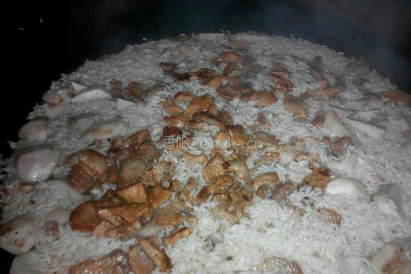 芋头腩肉饭