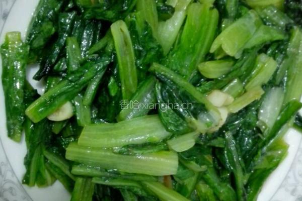 蒜蓉油麦菜的做法图解4