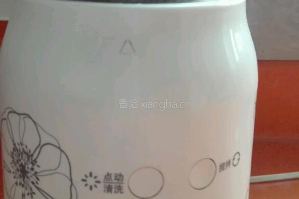 核桃黑芝麻糊的做法图解9