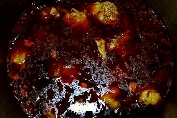 沧州特色麻辣火锅鸡的做法图解9