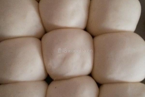 椰蓉蜂蜜小餐包的做法图解8
