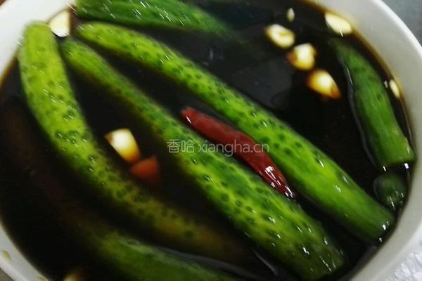 腌乳瓜的做法图解8