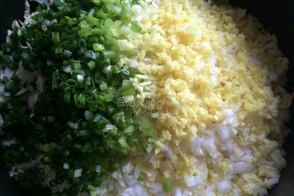 白菜猪肉饺的做法图解3