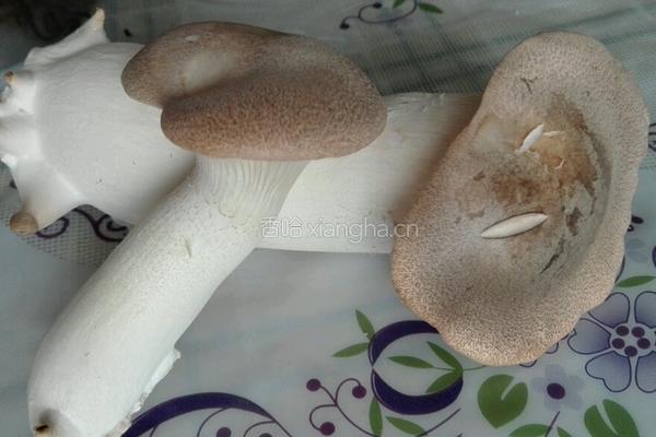 孢茹菌汤的做法图解1