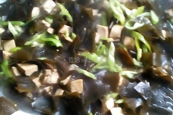 冻豆腐鸡肉炒海带的做法图解5