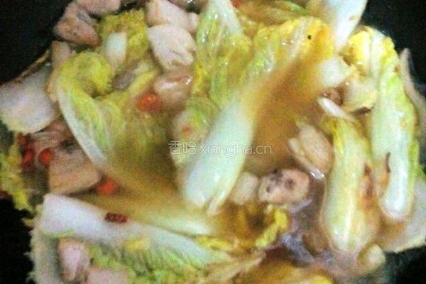 猪肉炖粉条（香辣味）的做法图解6