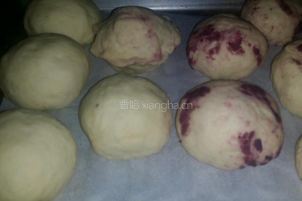 紫薯包的做法图解7