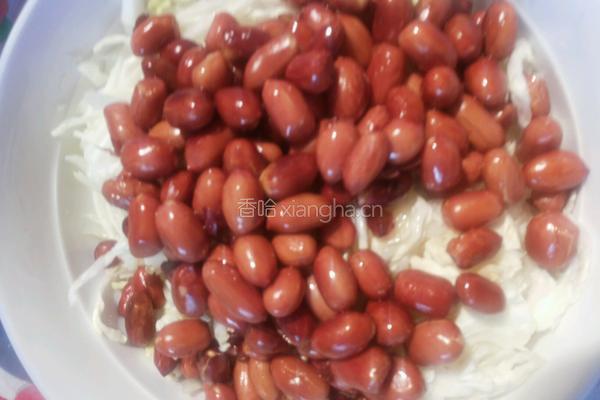 花生米拌白菜心的做法图解4