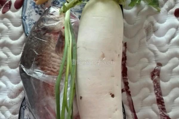 鲫鱼萝卜汤的做法图解1