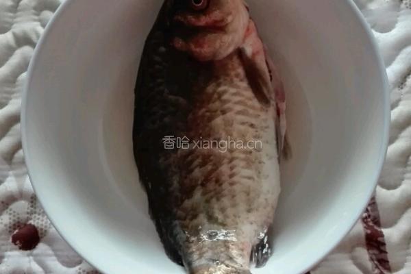 鲫鱼萝卜汤的做法图解2