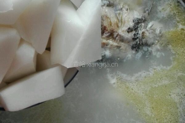 鲫鱼萝卜汤的做法图解11