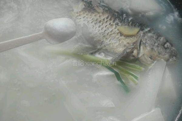 鲫鱼萝卜汤的做法图解14