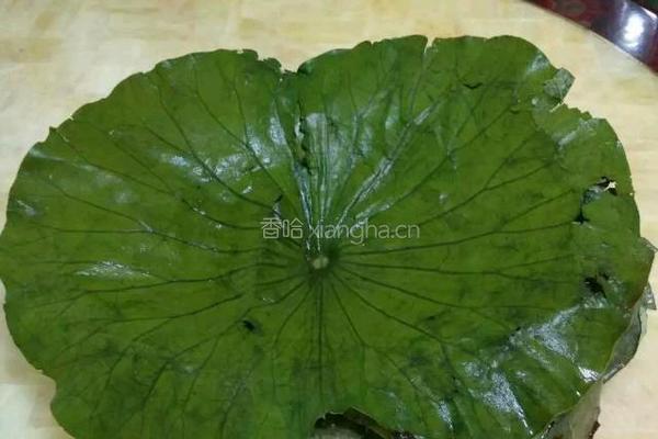 荷香糯米鸡的做法图解2