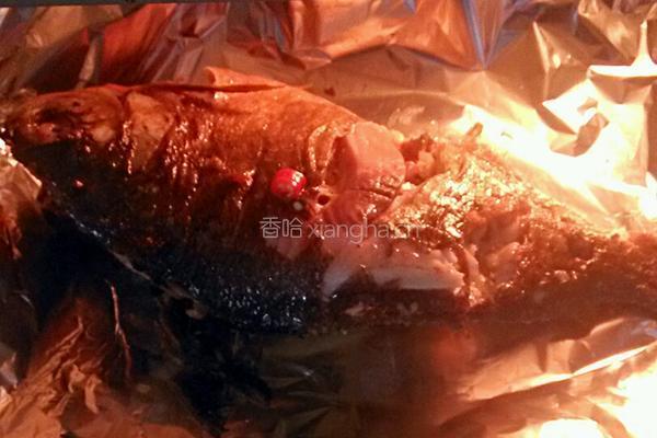 香辣煎烤鱼的做法图解7