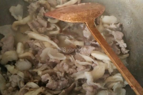 蘑菇炒肉的做法图解6