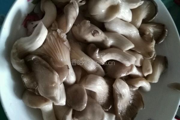 鸡腿炖蘑菇的做法图解2
