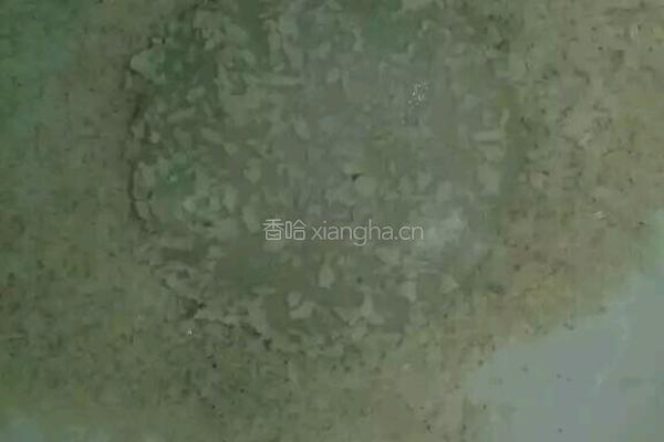 黄金芝麻香炸糕的做法图解11