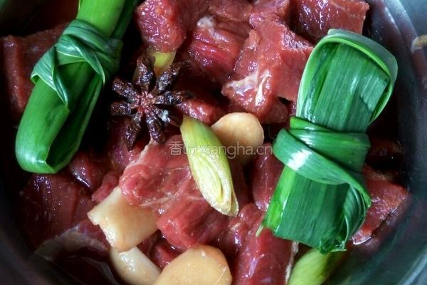 炖牛肉的做法图解8