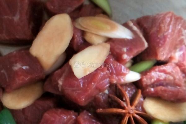 炖牛肉的做法图解9