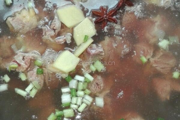 素菜牛肉砂锅的做法图解7
