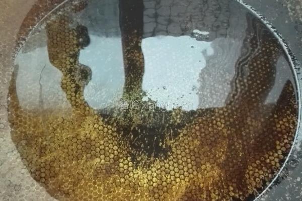 素菜牛肉砂锅的做法图解11