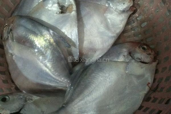 海鲜手打面的做法图解2