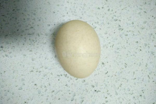 胡萝卜鲜肉饺子的做法图解8