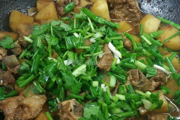 土豆烧排骨的做法图解9