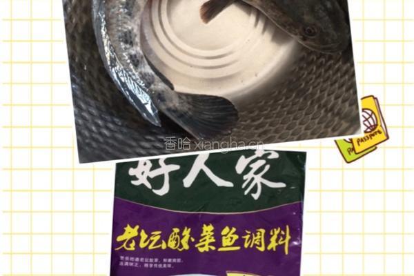 酸菜鱼的做法图解1
