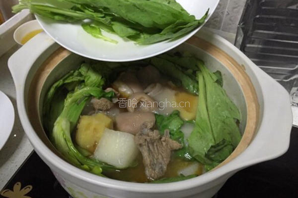 羊肉炉的做法图解17