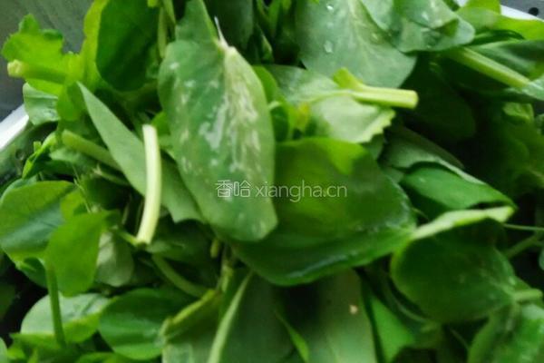 豆尖煮凉虾的做法图解2