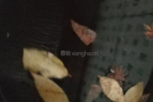 凉拌毛豆的做法图解2