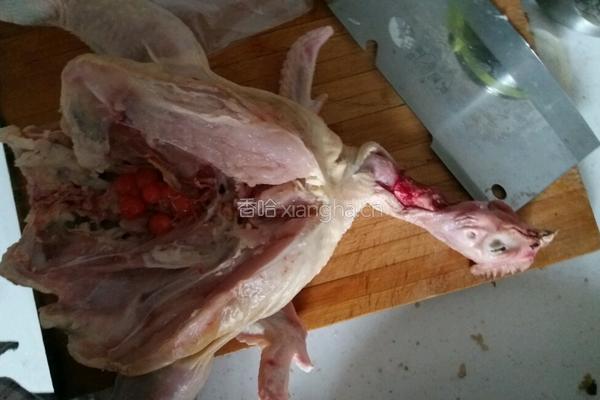 滋补清炖鸡（配面）的做法图解2