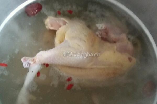 滋补清炖鸡（配面）的做法图解4