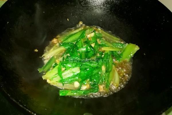 蒜蓉油麦菜的做法图解5