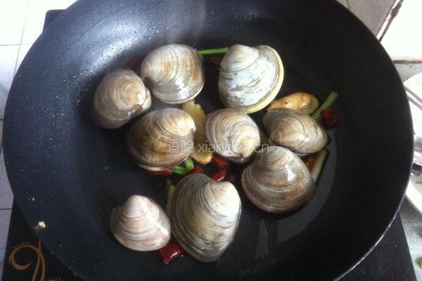 香辣煮白蛤的做法图解4