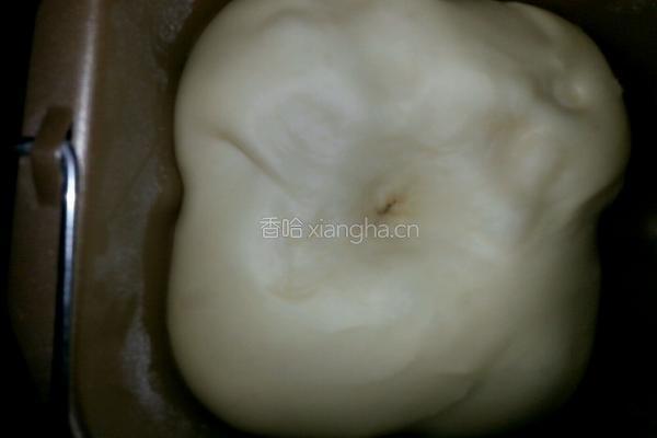 奶酪包的做法图解3