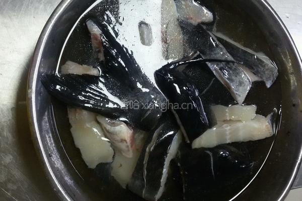 汽锅鮰鱼的做法图解1