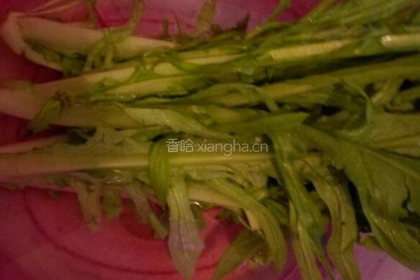 甜苦麦菜的做法图解1